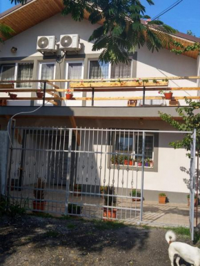 Vila Alexandra